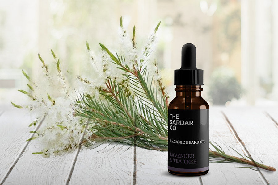 Nicoya Nutrition Bergamot Vanilla Beard Growth Oil – 1 Fl Oz Travel Size – Natural Argan & Jojoba Blend For Men