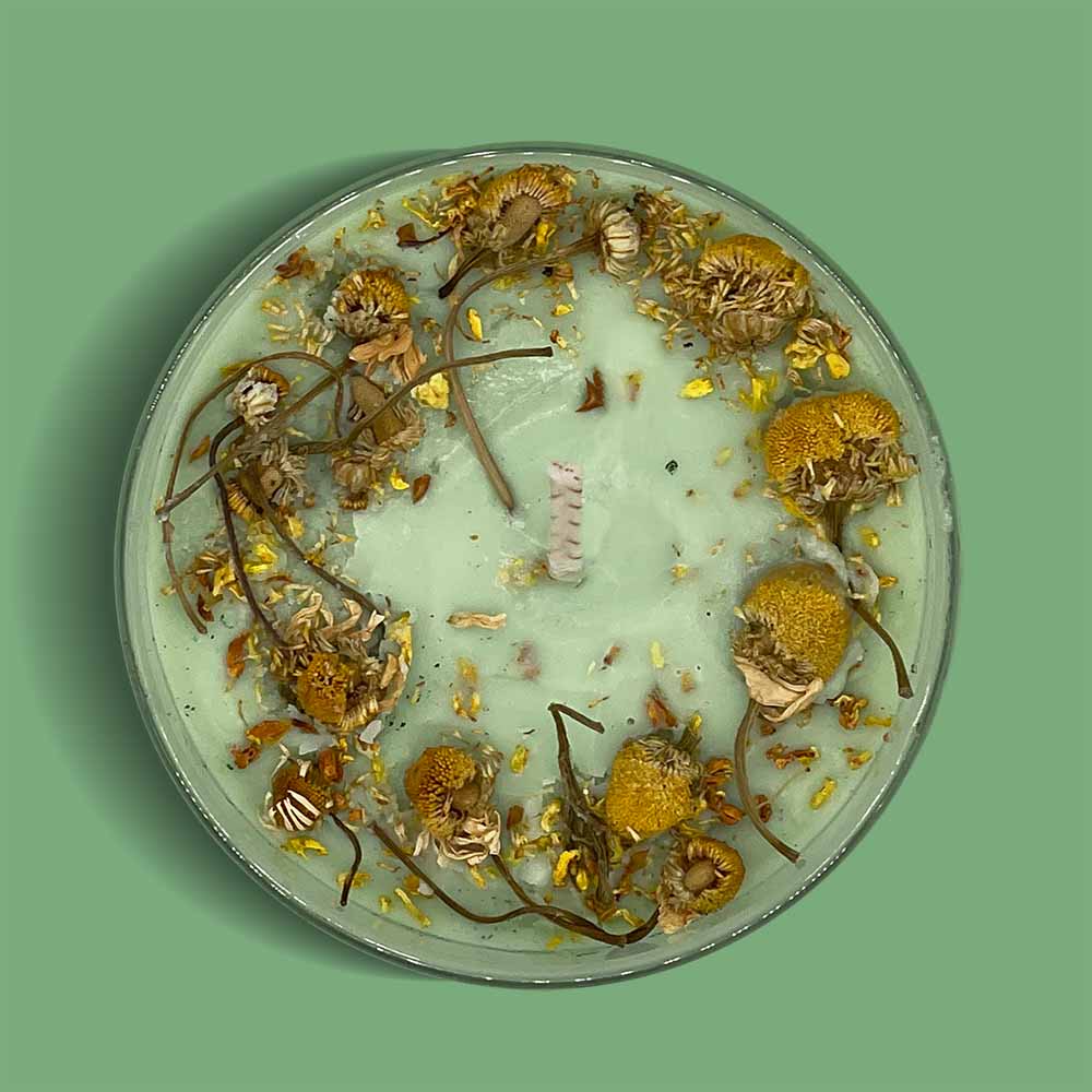 Evergreen soy candle by So Sona Skincare